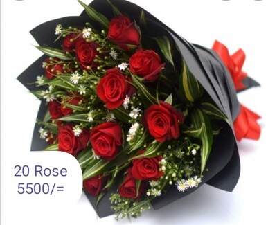 20 Rose